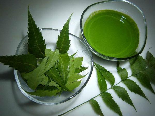 Neem Leaves - 2 oz. - Herbs
