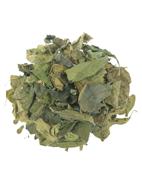 St.Johns Bush - Herbs