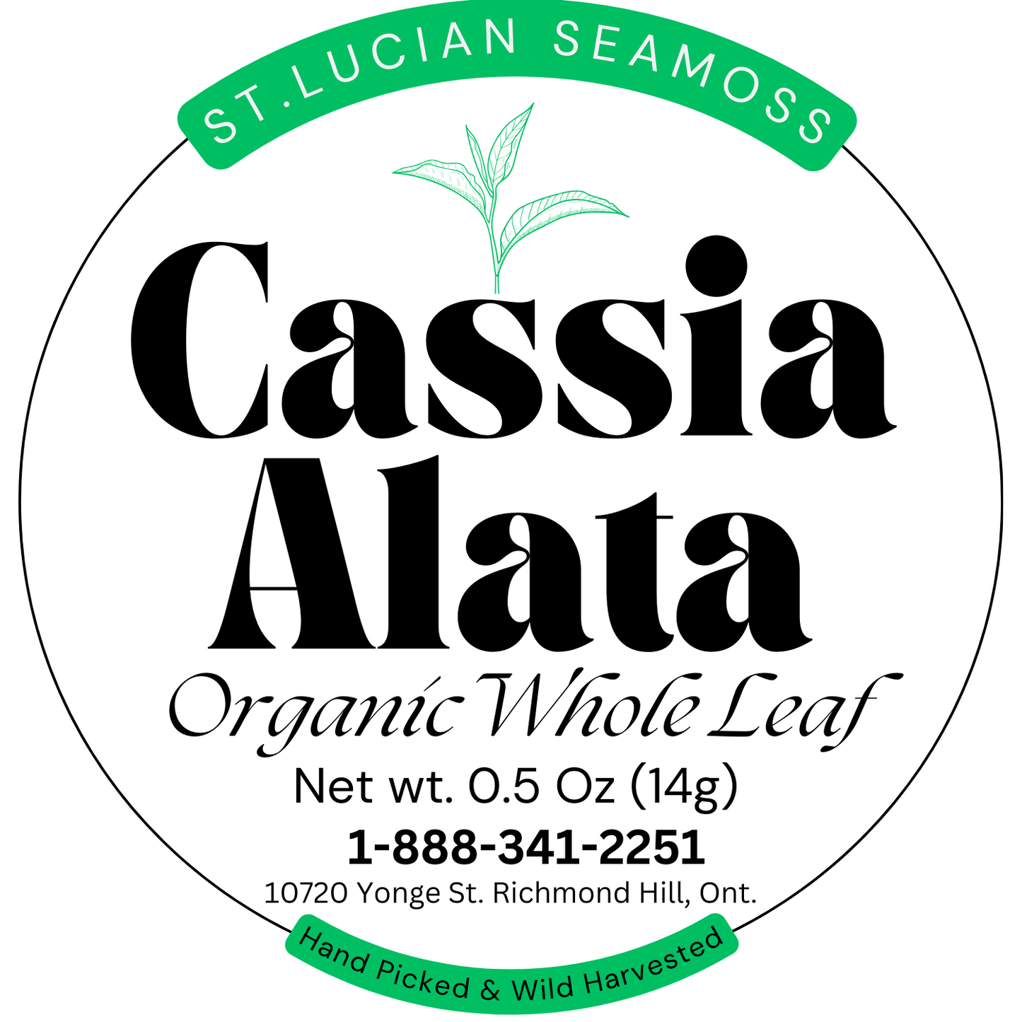 1/2 Ounce Cassia Alata - AKA King of the Forest - Herbs