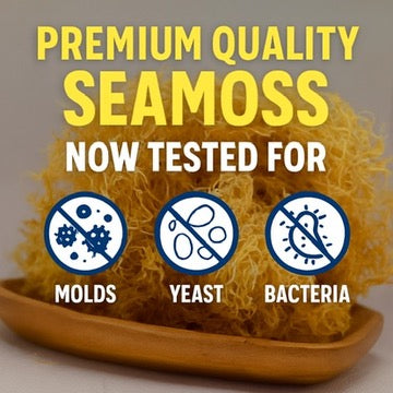 Hero image for campaign 570