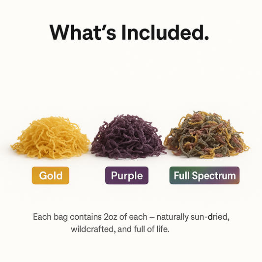 Seamoss Trio Bundle 2oz — Gold, Purple & Full Spectrum