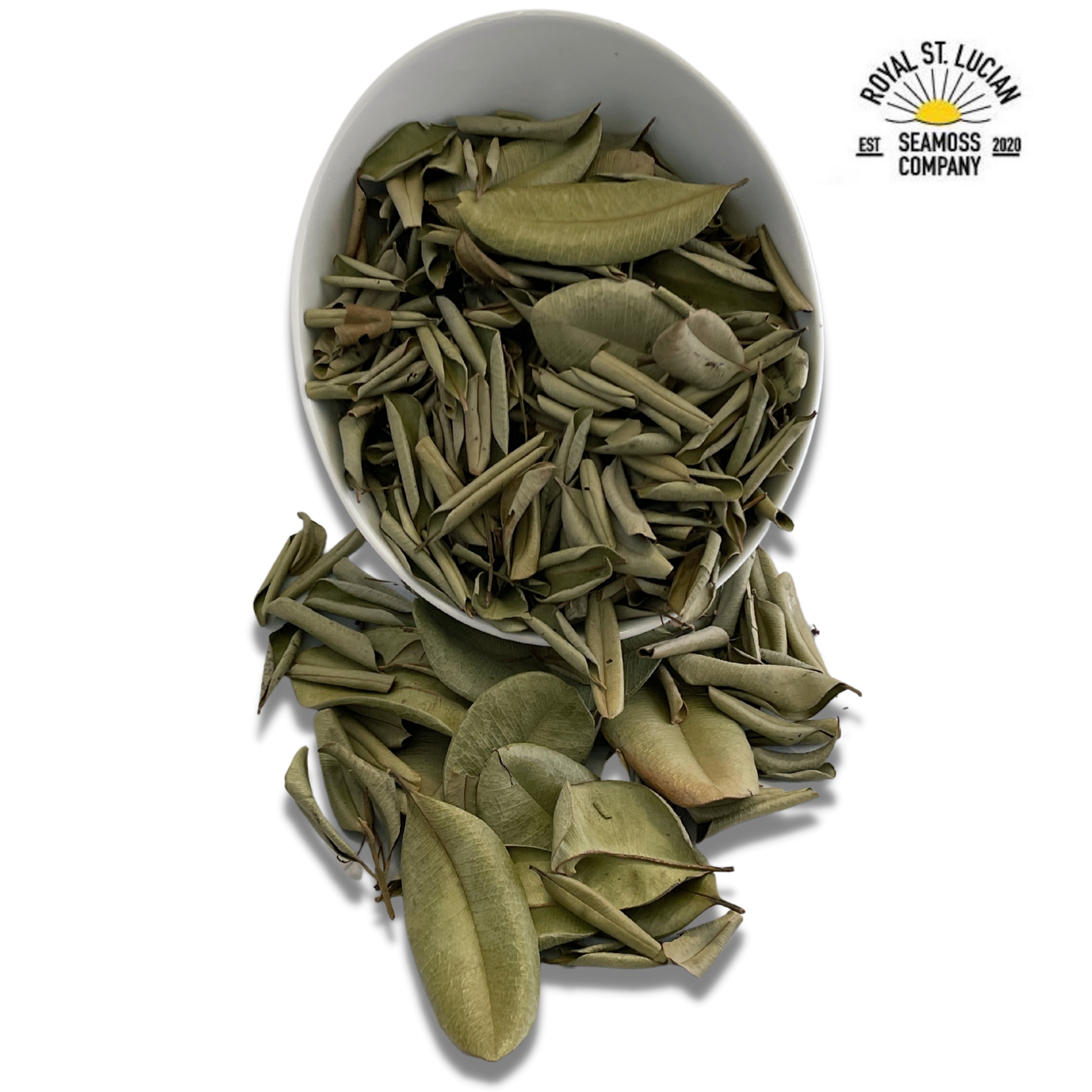Sweet Bay Leaves - Herbs