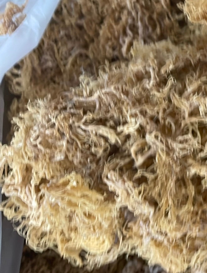 B‑Grade Saint Lucian Gold Sea Moss — 10 lb Bulk