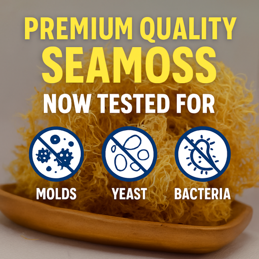 Lab Tested Sea Moss: Raising the Standard for Purity, Safety & Trust