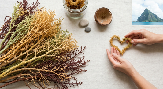 Love from the Source: St. Lucian Farmers