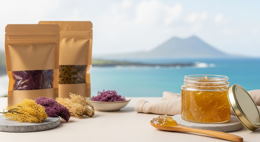 Lab-Tested Sea Moss: Top Uses & Wholesale Options