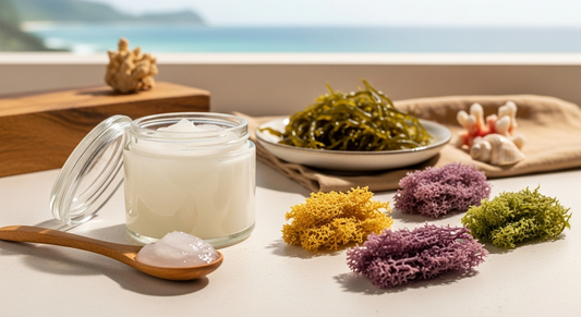 Lab-Tested St. Lucian Sea Moss: Your Wellness Guide