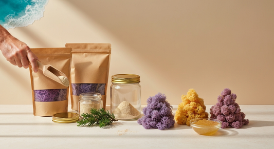 Cyber Monday Sea Moss Bundles: B2B Deals!