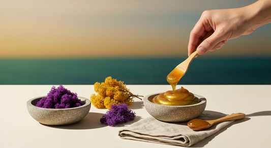 Gold vs Purple Sea Moss: Which to Choose?