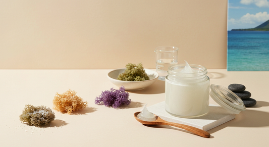 Sea Moss: Your Guide to Purity & Power