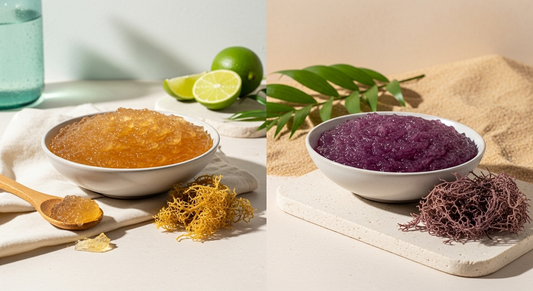 Gold vs. Purple Sea Moss: Which Reigns Supreme?