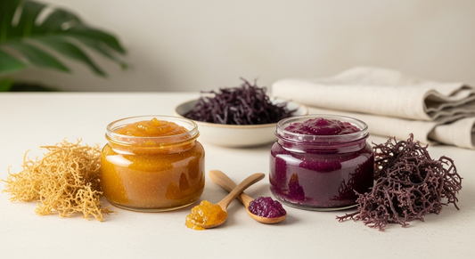 Gold vs. Purple Sea Moss: Your Ultimate Guide