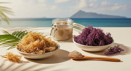 Gold vs. Purple Sea Moss: Your Ultimate Guide