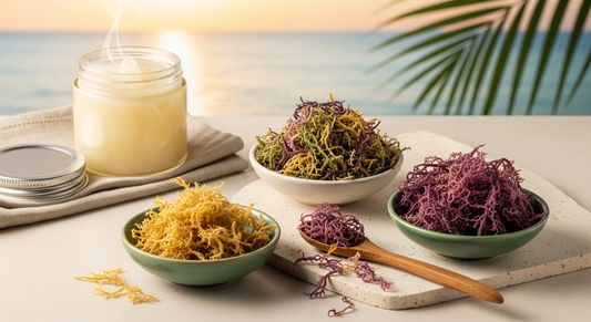 Unlock Nature's Power: Your Guide to Authentic Sea Moss