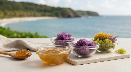 Choose Your Sea Moss Supplier Wisely