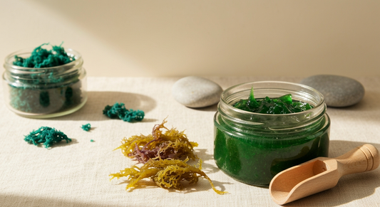 Choose Saint Lucian Sea Moss Suppliers