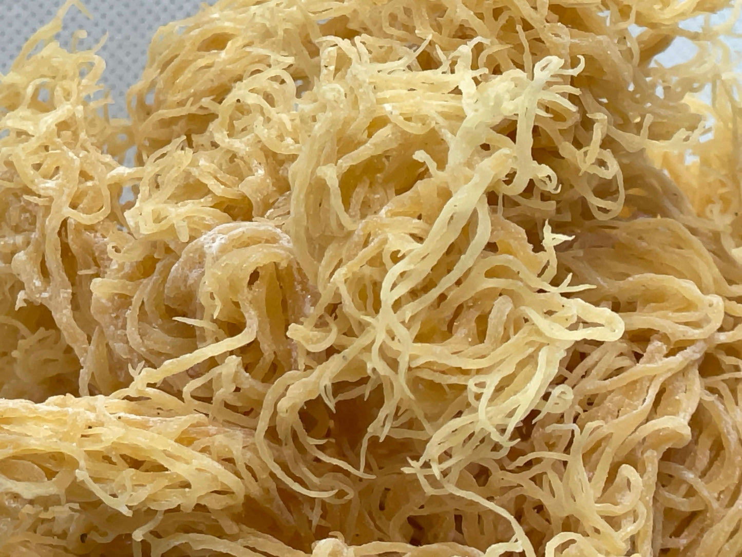 St. Lucian Gold Sea Moss Bulk - Saint Lucia harvest, aerial view