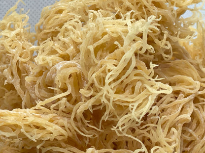 St. Lucian Gold Sea Moss Bulk - Saint Lucia harvest, aerial view