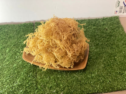 St. Lucian Gold Sea Moss - dried sea moss close-up