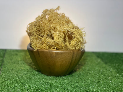 St. Lucian Gold Sea Moss Bulk (Wholesale Dried Seamoss)