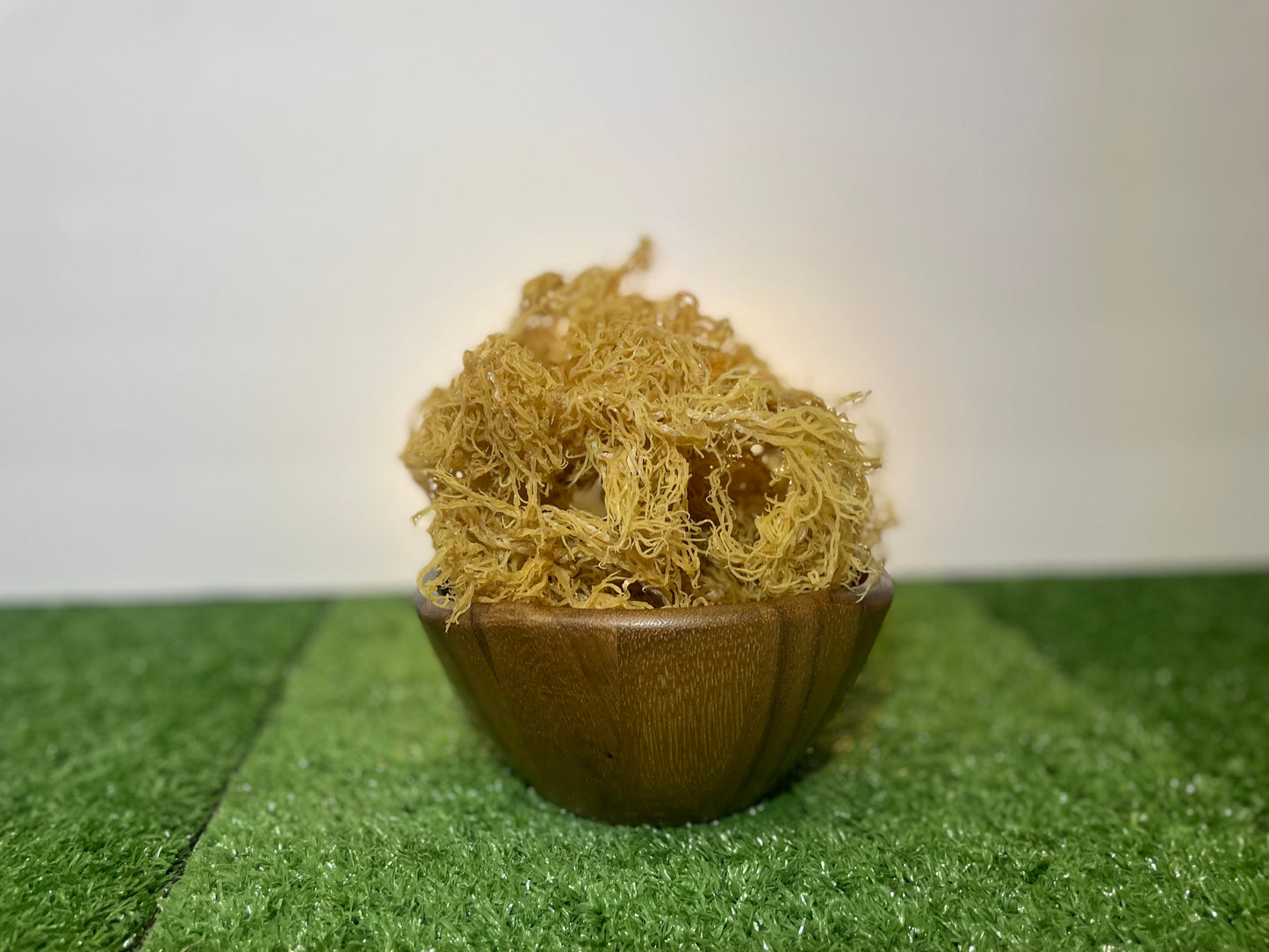 St. Lucian Gold Sea Moss Bulk (Wholesale Dried Seamoss)