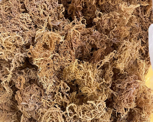 Wholesale Purple Sea Moss B Grade - product detail