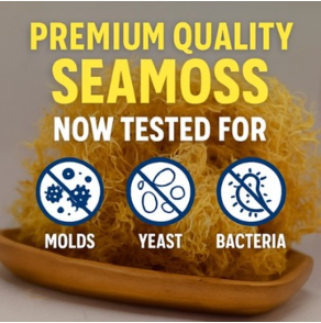 Hero image for campaign 570