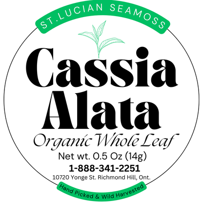 1/2 Ounce Cassia Alata - AKA King of the Forest - Herbs