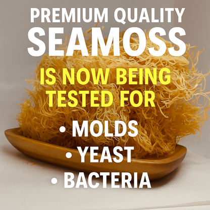 Gold Seamoss - Wholesale