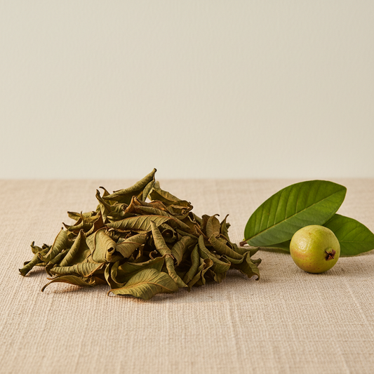 Guava Leaves - dried loose leaf product photo