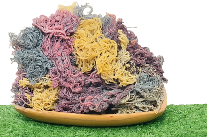 Full Spectrum Seamoss: Nature's Nutrient-Packed Treasure