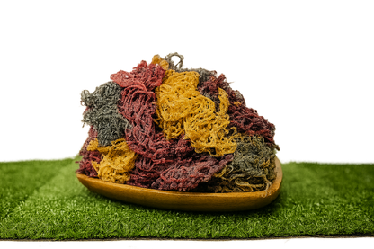 Full Spectrum Seamoss: Nature's Nutrient-Packed Treasure