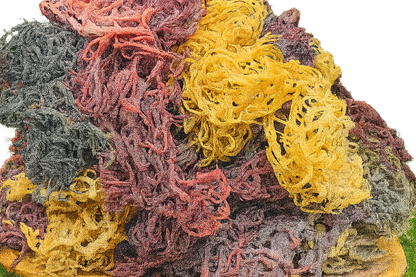 Full Spectrum Seamoss: Nature's Nutrient-Packed Treasure