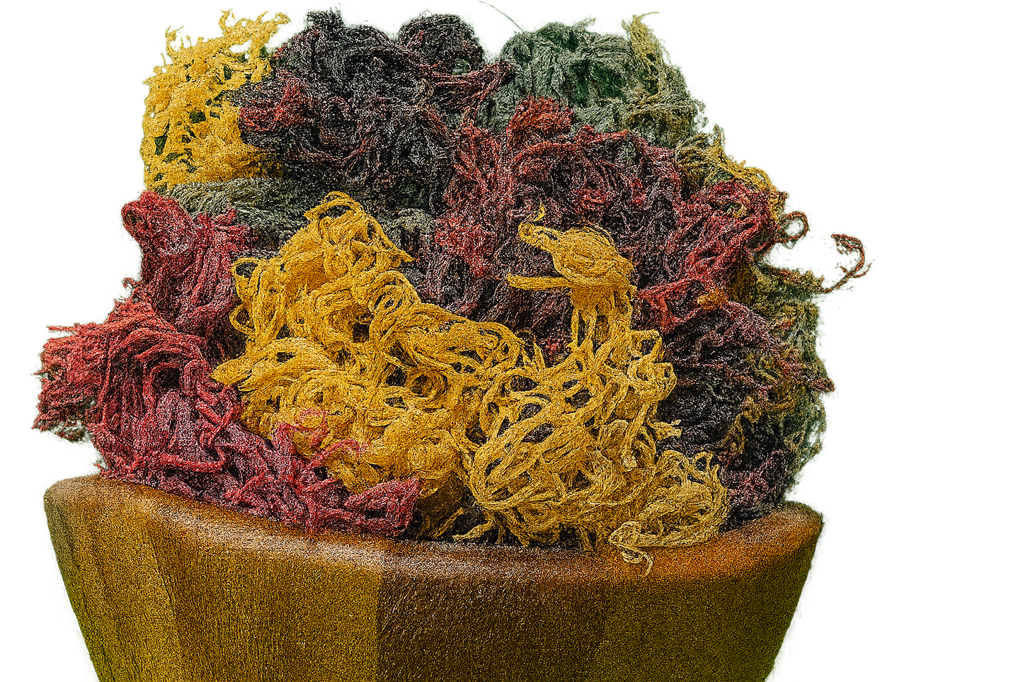Full Spectrum Seamoss: Nature's Nutrient-Packed Treasure