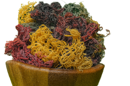 Full Spectrum Seamoss: Nature's Nutrient-Packed Treasure