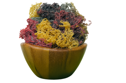 Full Spectrum Seamoss: Nature's Nutrient-Packed Treasure