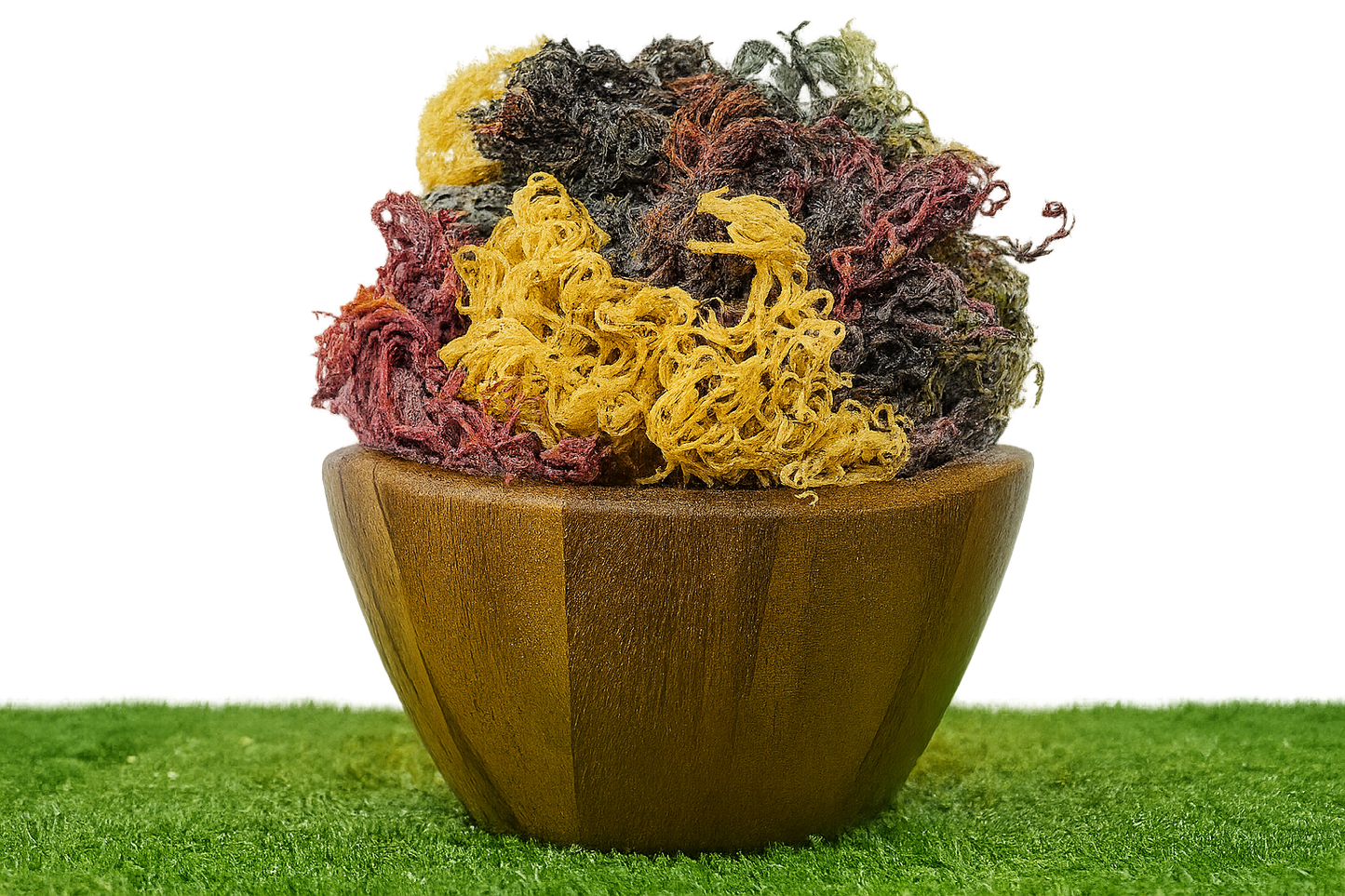Full Spectrum Seamoss: Nature's Nutrient-Packed Treasure