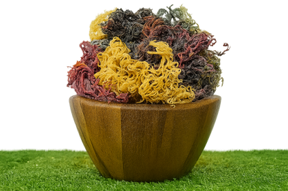 Full Spectrum Seamoss: Nature's Nutrient-Packed Treasure