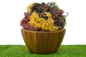 Full Spectrum Seamoss: Nature's Nutrient-Packed Treasure