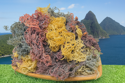 St. Lucian Full Spectrum Sea Moss - dried sea moss bag