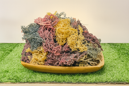 Full Spectrum Seamoss: Nature's Nutrient-Packed Treasure