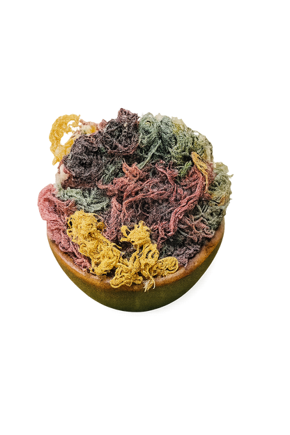 Full Spectrum Seamoss: Nature's Nutrient-Packed Treasure
