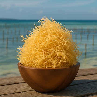 St.Lucian Gold Seamoss