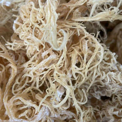 Gold Sea Moss Bulk - wholesale bag, alternate view