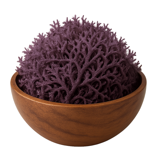 St.Lucian Pure Purple Seamoss