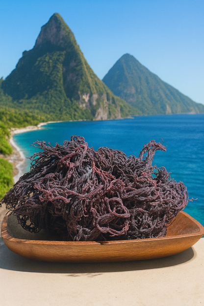 St.Lucian Pure Purple Seamoss
