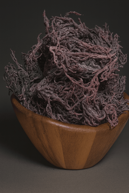St. Lucian Purple Sea Moss Wholesale - dried sea moss product photo