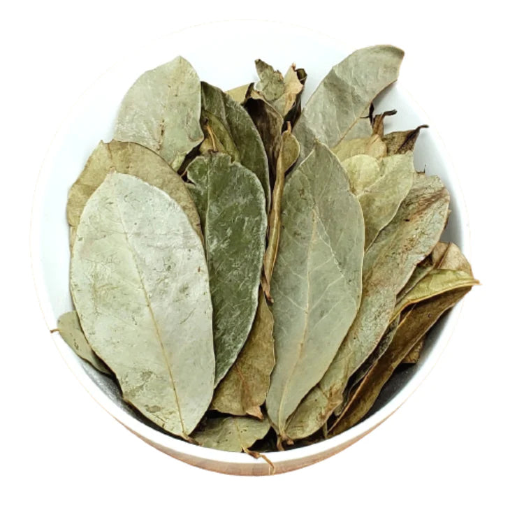 Soursop Leaves Dried
