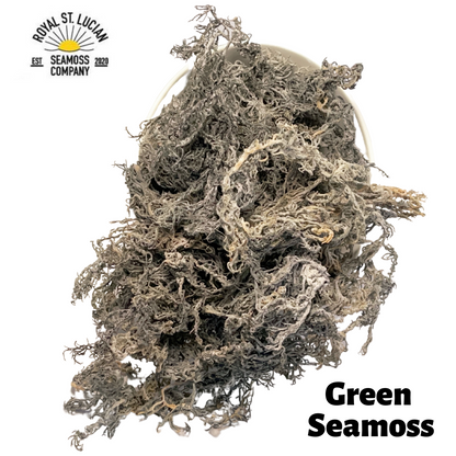 Green Seamoss - Wholesale - 25lbs