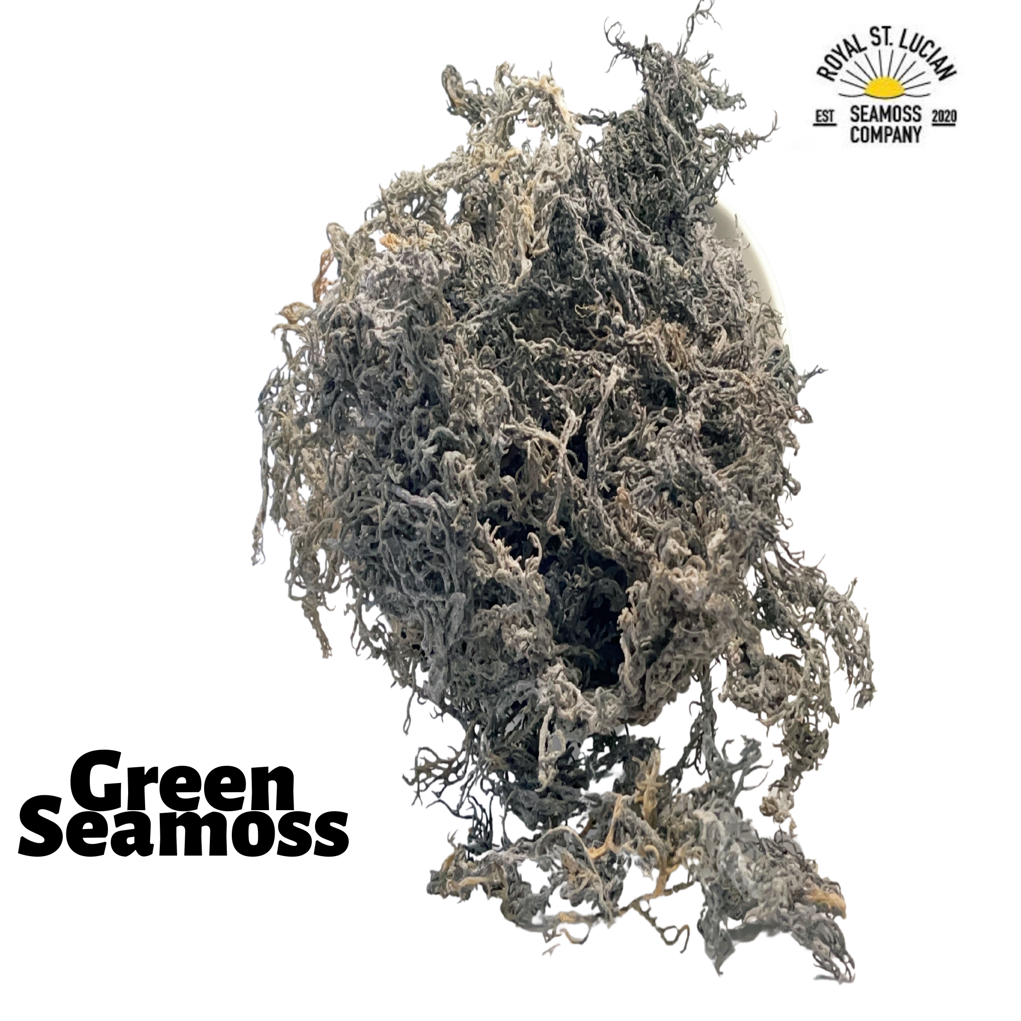 Green Seamoss - Wholesale
